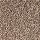 Mohawk Carpet: Soft Dimensions I Coppersheen